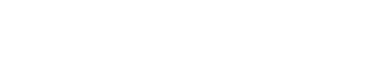 Light Logo