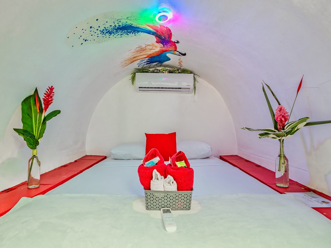 Turnkey Jungle Hostel with 16 Beds, Pool & Strong Revenue Potential Near Marino Ballena National Park