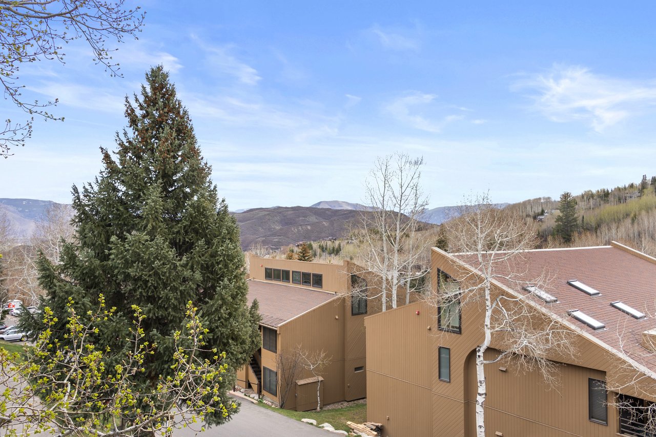 Your All-Season Retreat Minutes from Aspen
