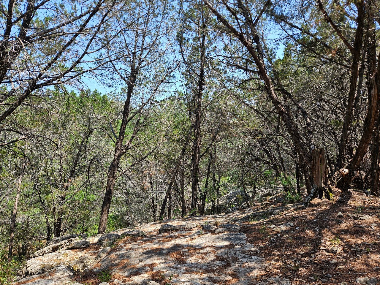 525 SODA CREEK ROAD