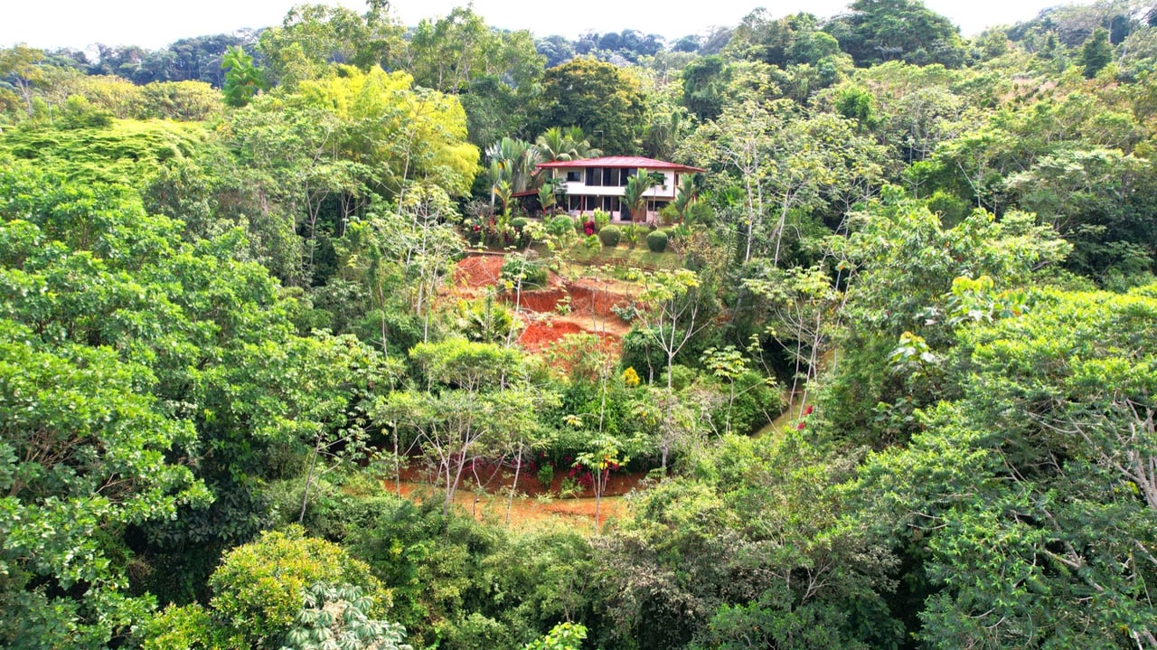Valley of Dreams - A Beautiful Multi-Use Property Near Cacao Ridge, 10.85 Acres at a Phenomenal Price!