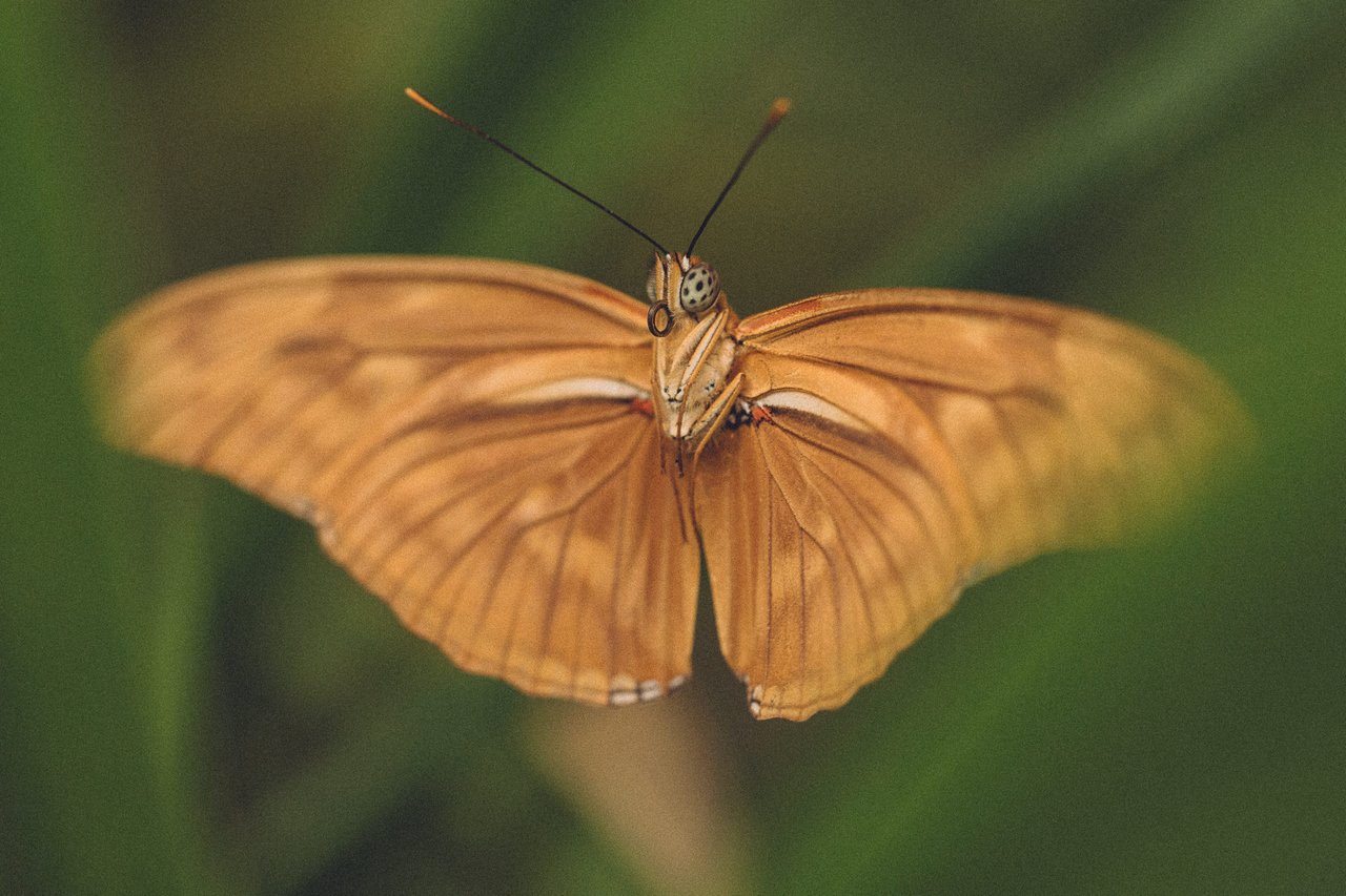  Punta Sabana & Mar Serena