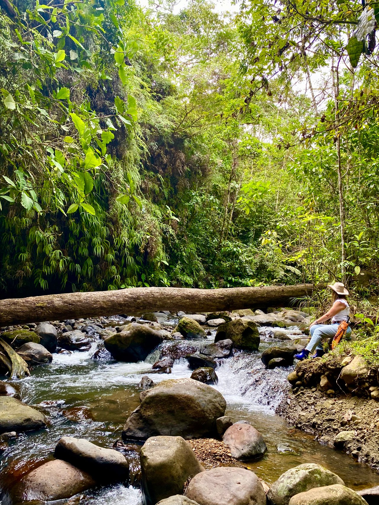 54 Acre Ranch in San Vito, Coto Brus