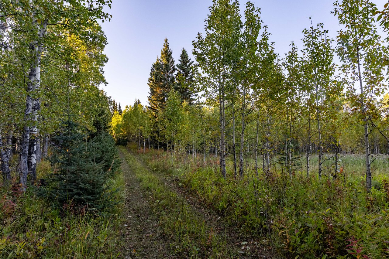 Sibbald Trail Estate