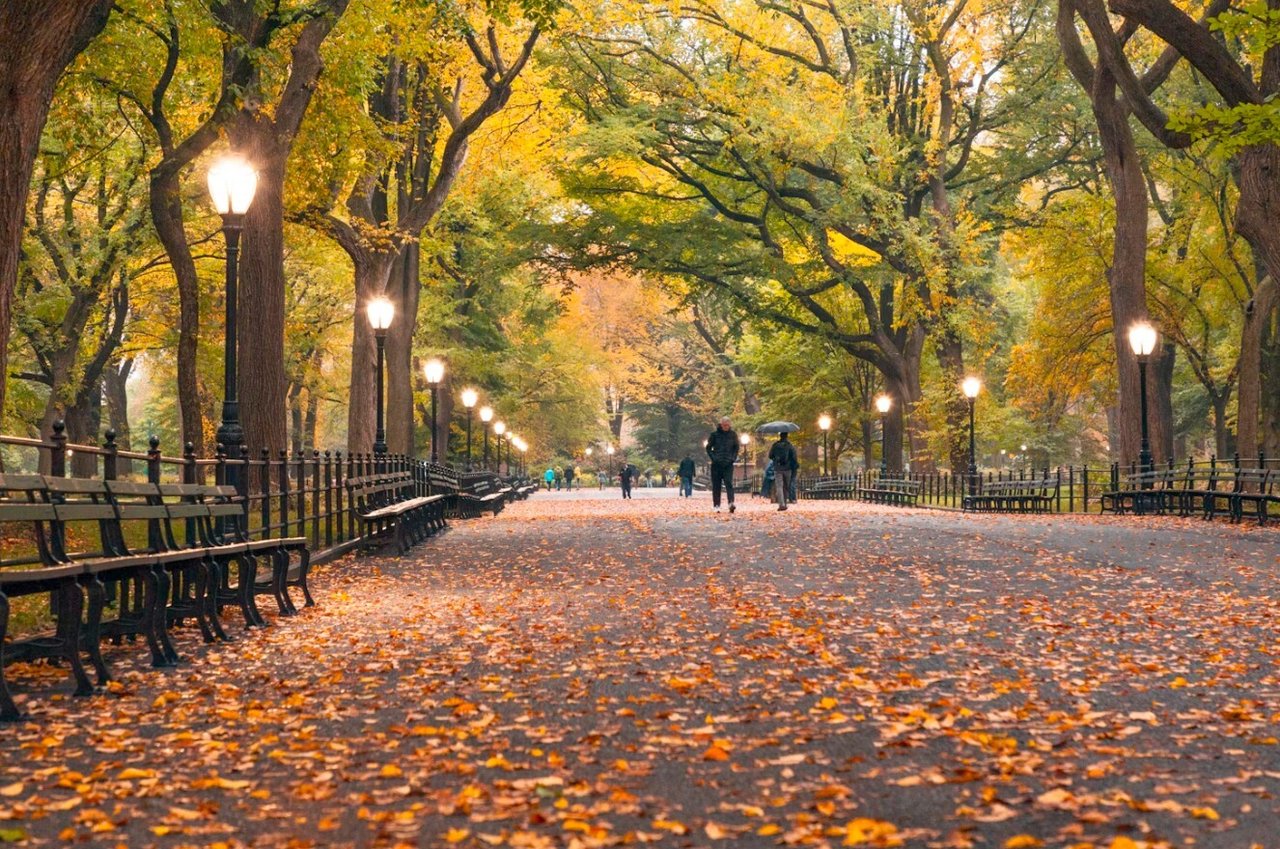 NYC Real Estate Market Update - October 2025