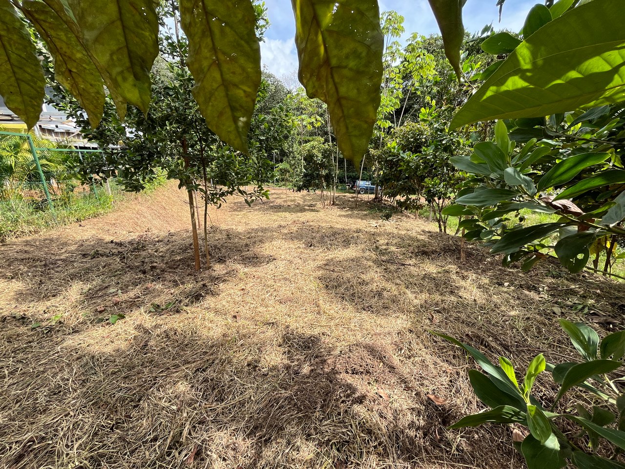 Affordable Uvita Lot UNDER $200-per-sqm - Perfect for Your Dream Home or Airbnb Investment