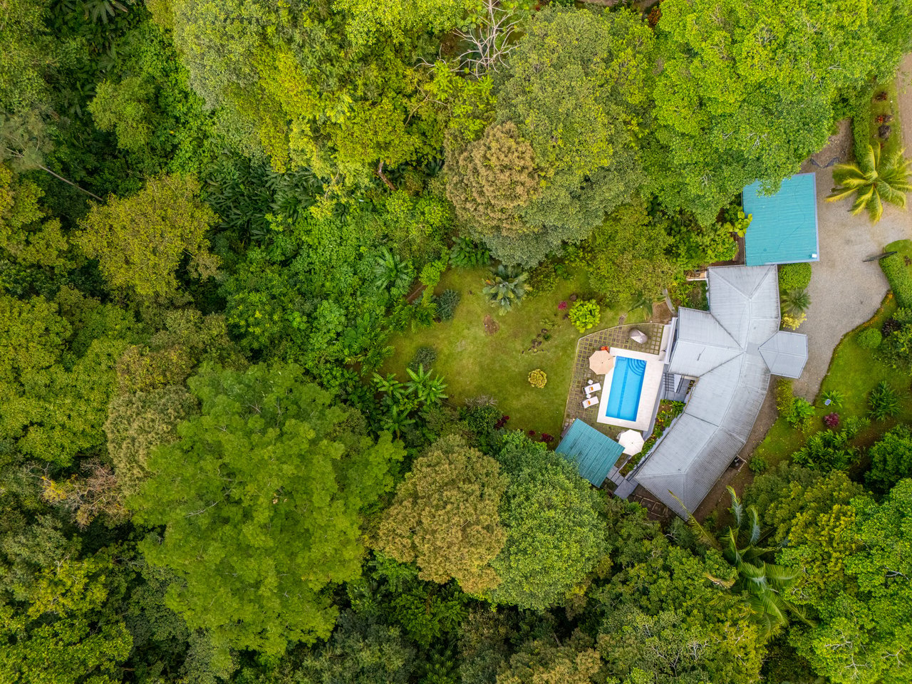 Modern Jungle Paradise, Bordered by River on 2.14 acres