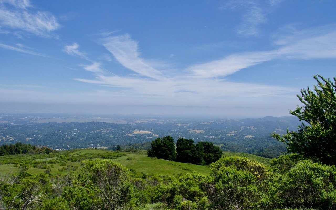 Los Altos