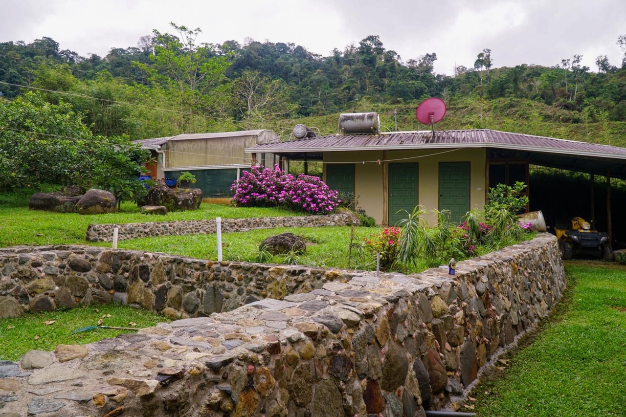 Sustainable Organic Mountain Farm, Perez Zeledon, San Jose