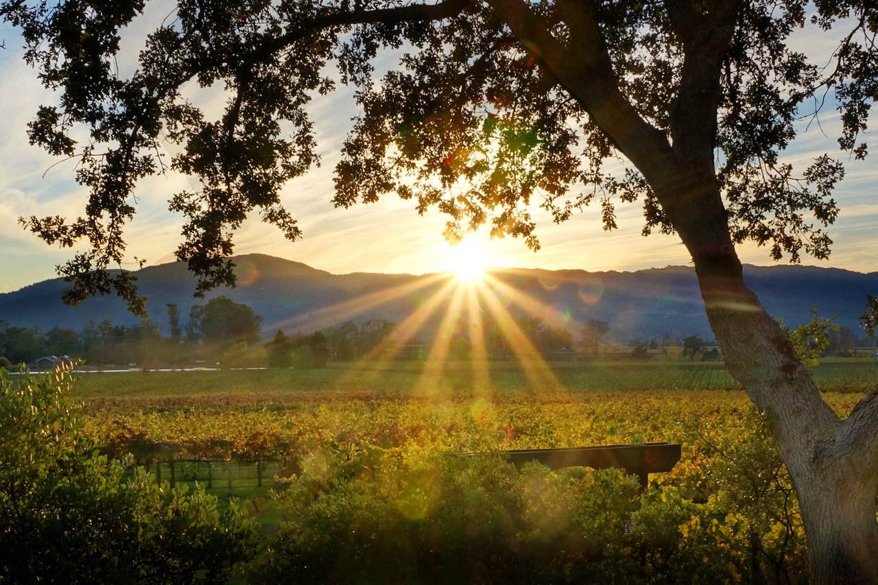 Calistoga