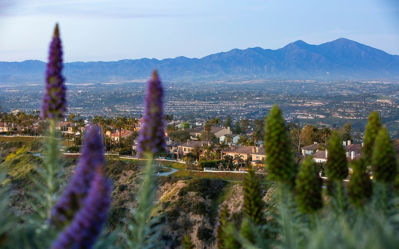 Laguna Niguel