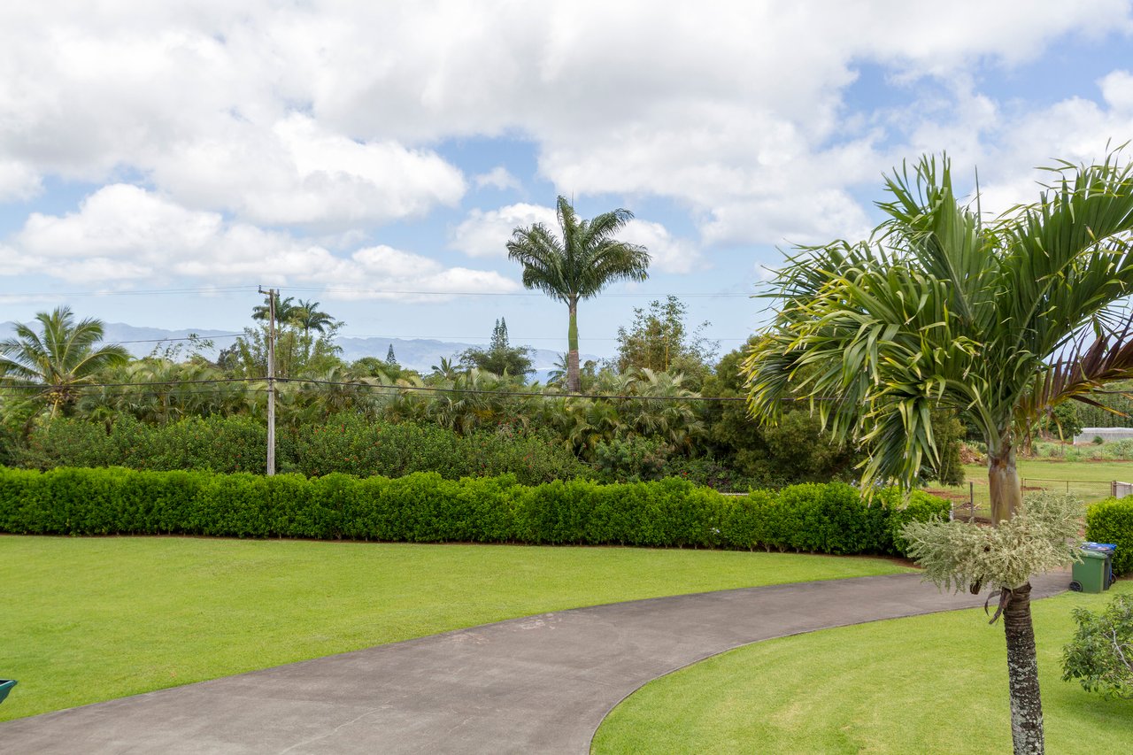 The Green Pineapple Main House