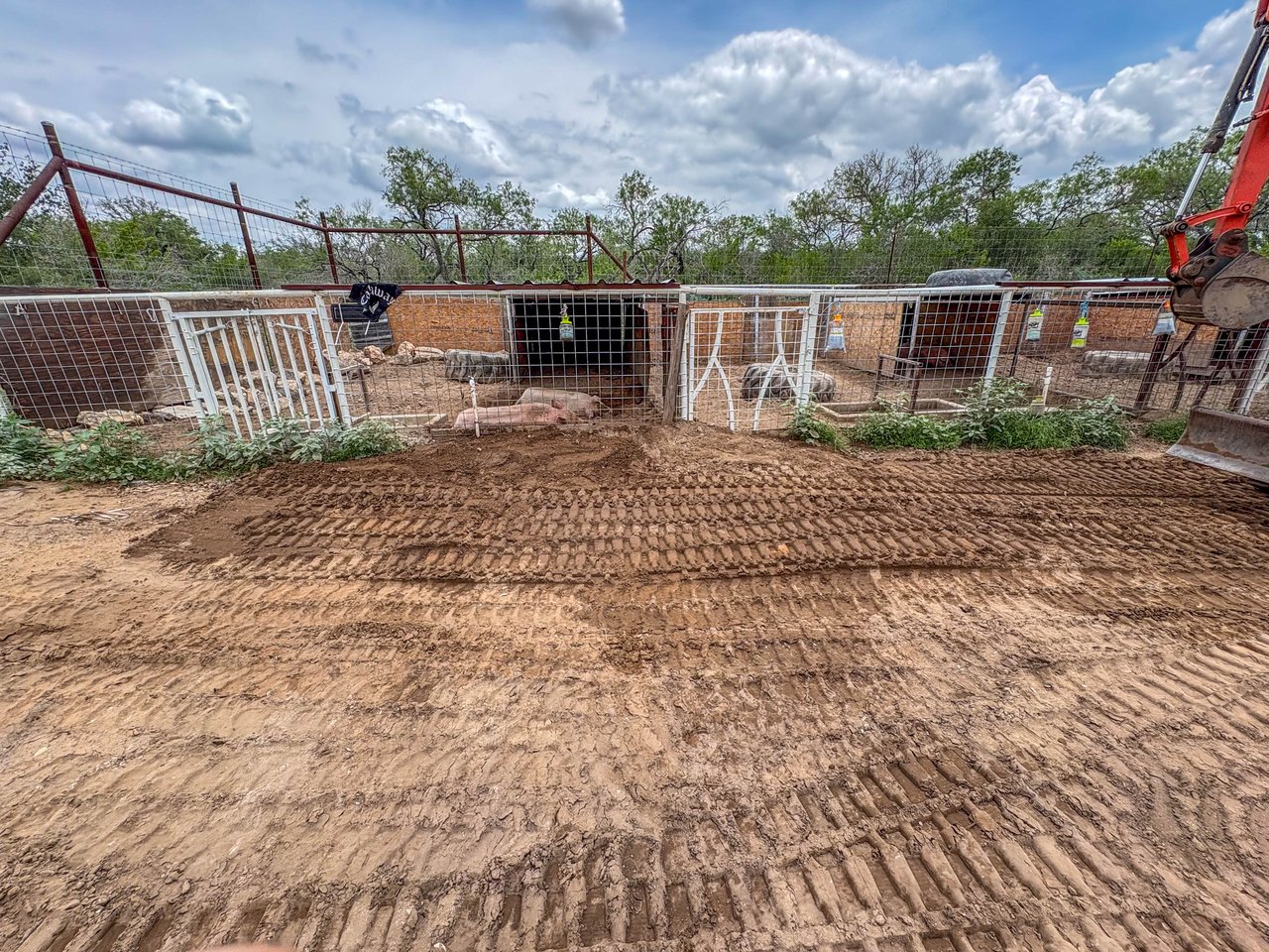 Oaks, Wildlife, & the Quiet of the Countryside | 26.99± Acres | Poteet, TX