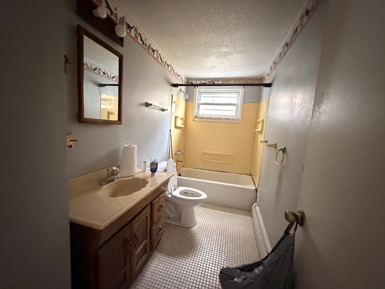 Image Before