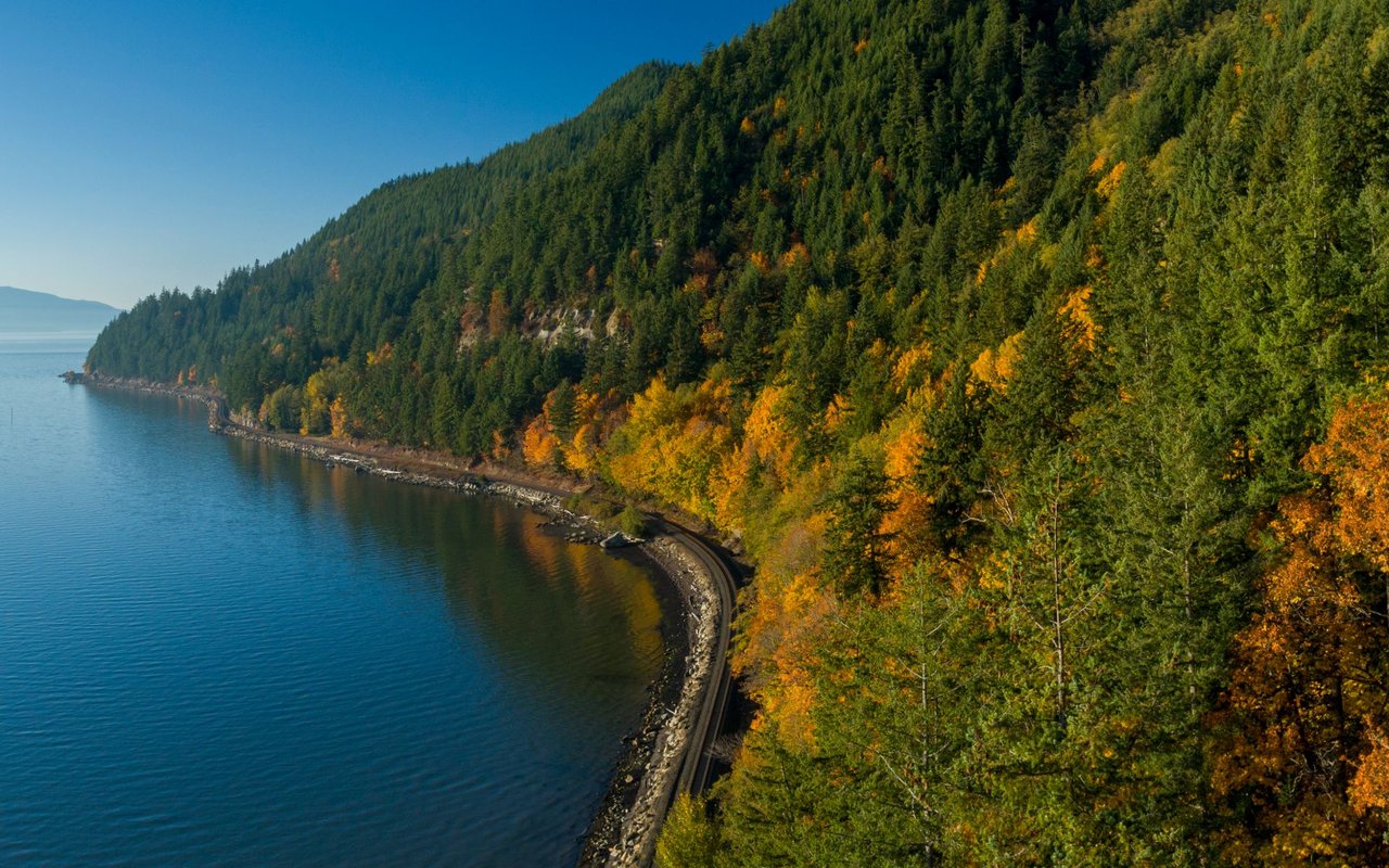 Chuckanut