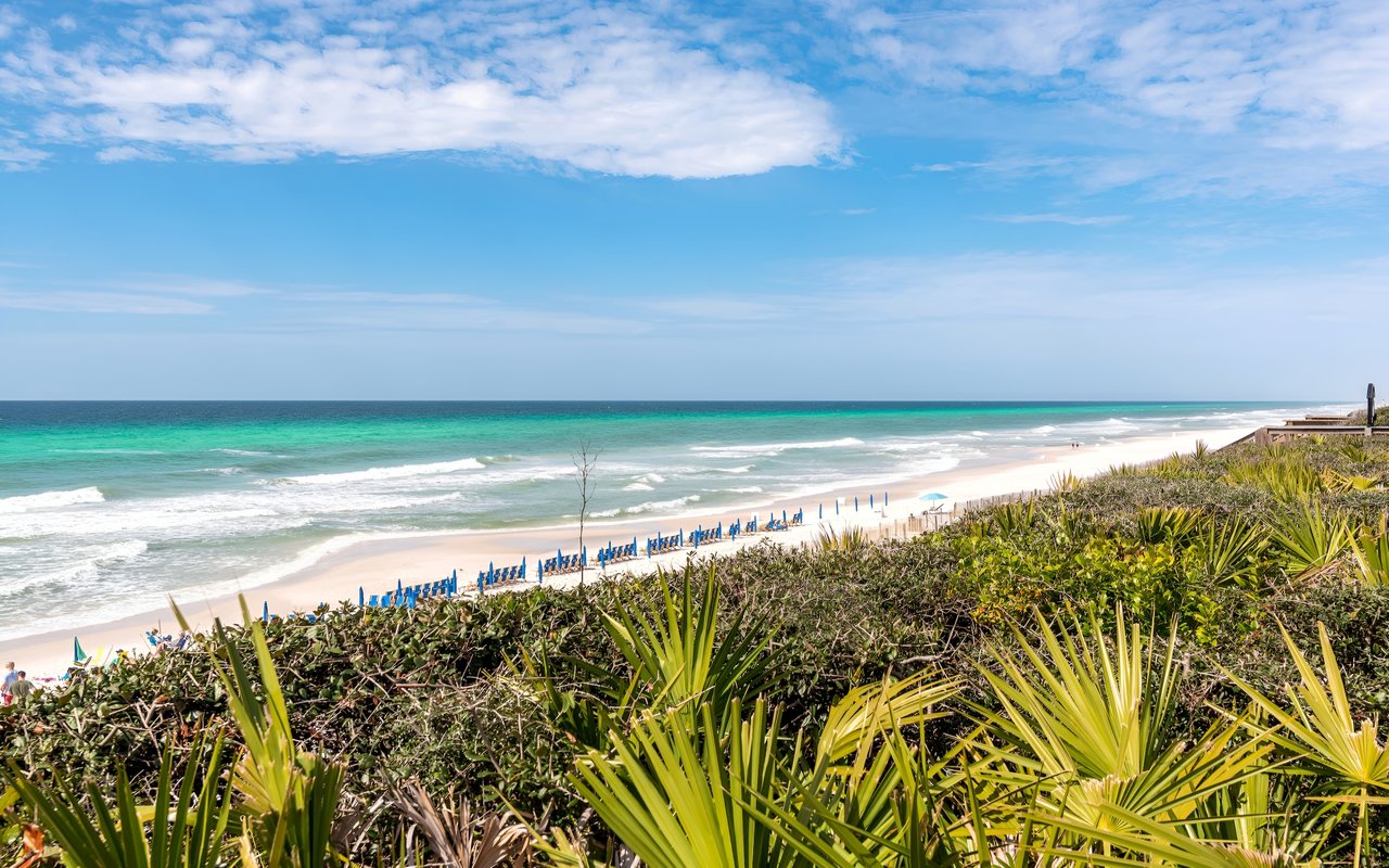 Real Estate & Coastal Living