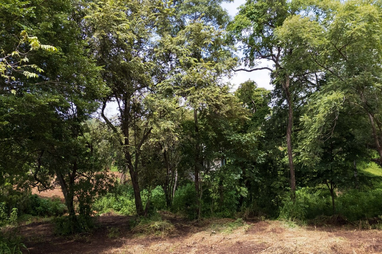 Lot Across Mar Vista , Playa Brasilito, Guanacaste