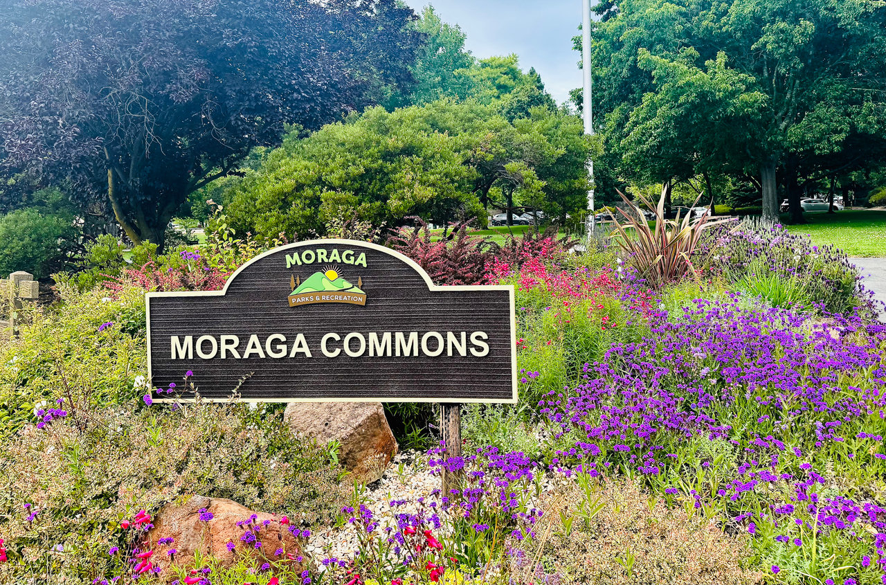 Moraga