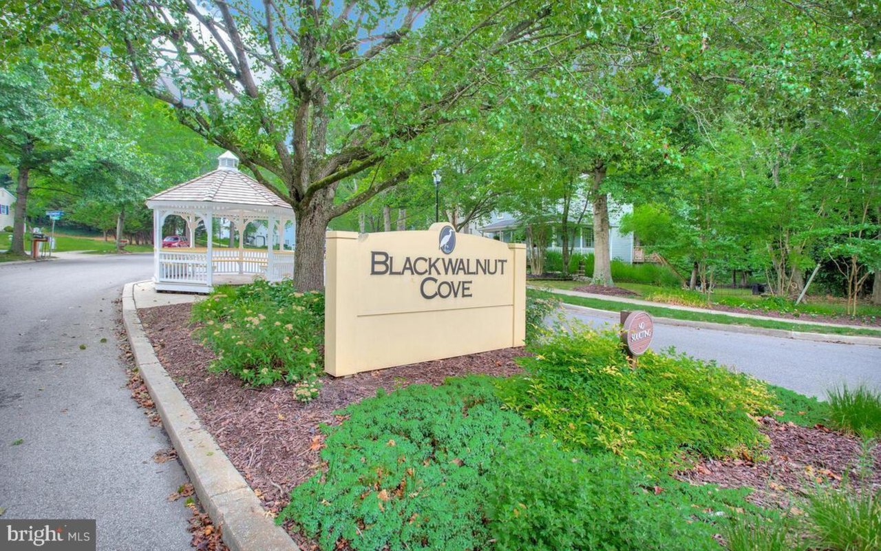 Blackwalnut Cove