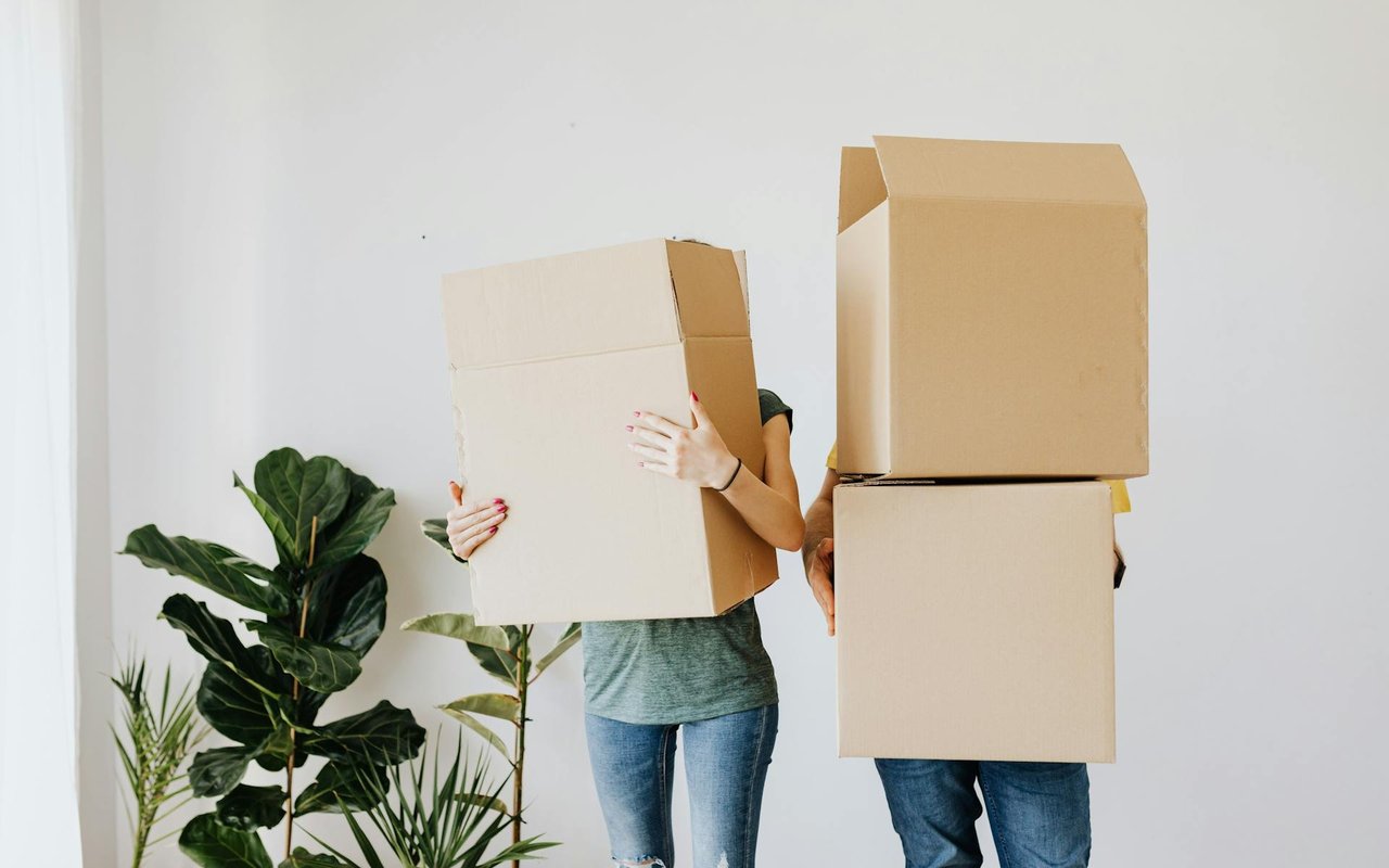 Two people carry cardboard boxes while moving into a bright room with leafy houseplants.