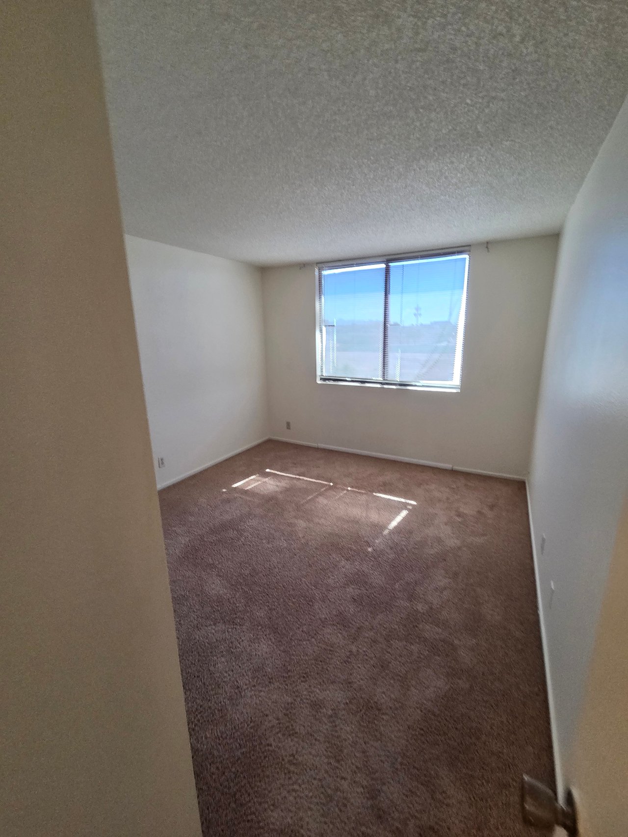 3930 University Center Drive #204