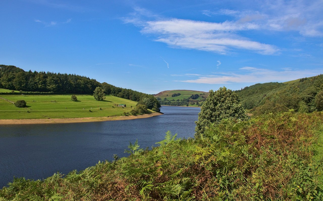 Lake in the Hills