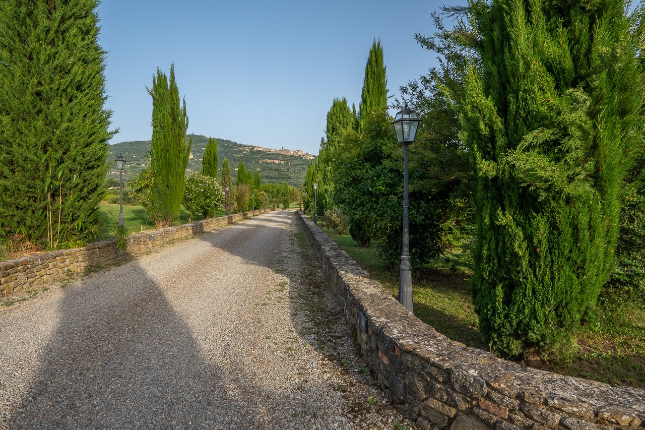 VILLA MECENATE