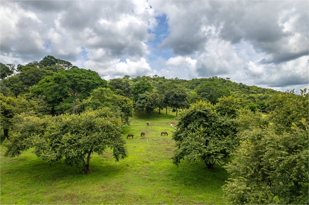 Premier Homesite in a Natural Haven, Tamarindo, Guanacaste