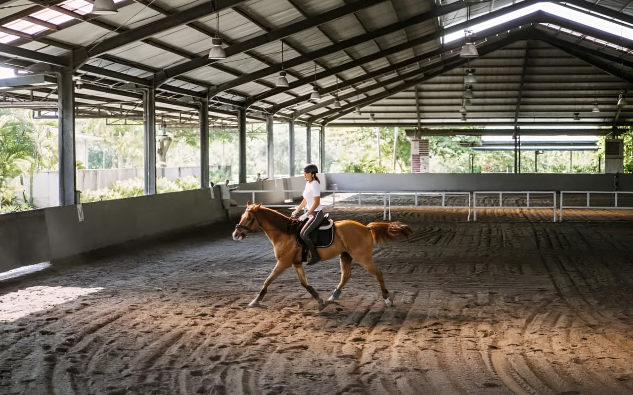 How Much Property Do You Need for a Horse – Buying Guide