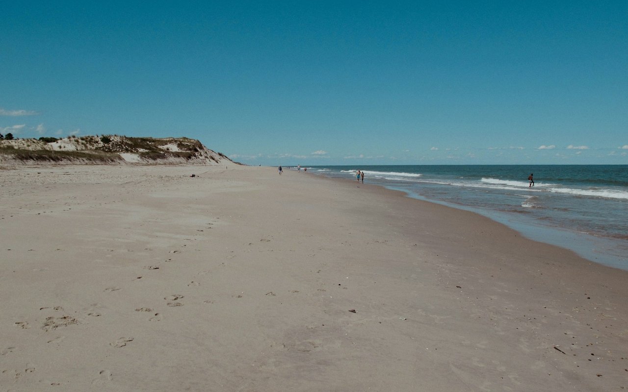 Beaches - South