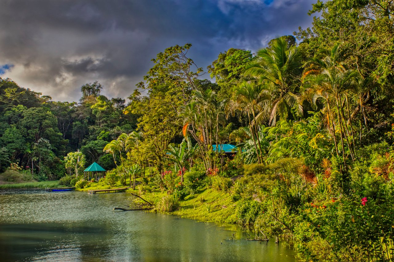 The Lucky Bug | Boutique Hotel & Investment Opportunity in Nuevo Arenal