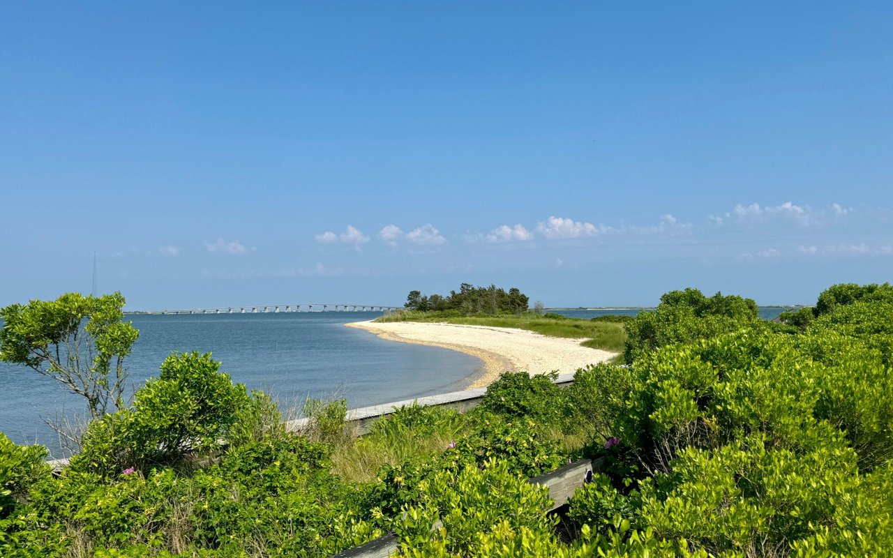 Hampton Bays