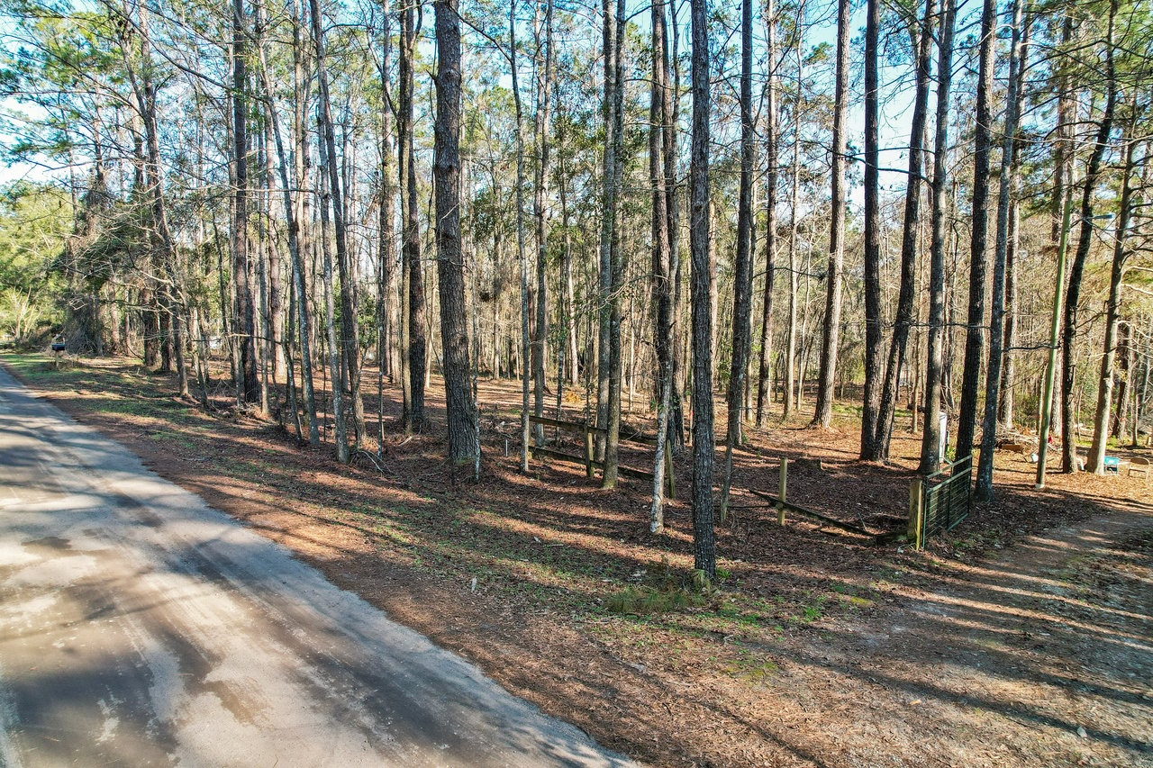 Wooded area with tall, slender trees, casting shadows on the ground. A narrow path runs alongside a paved road, creating a peaceful, natural scene.