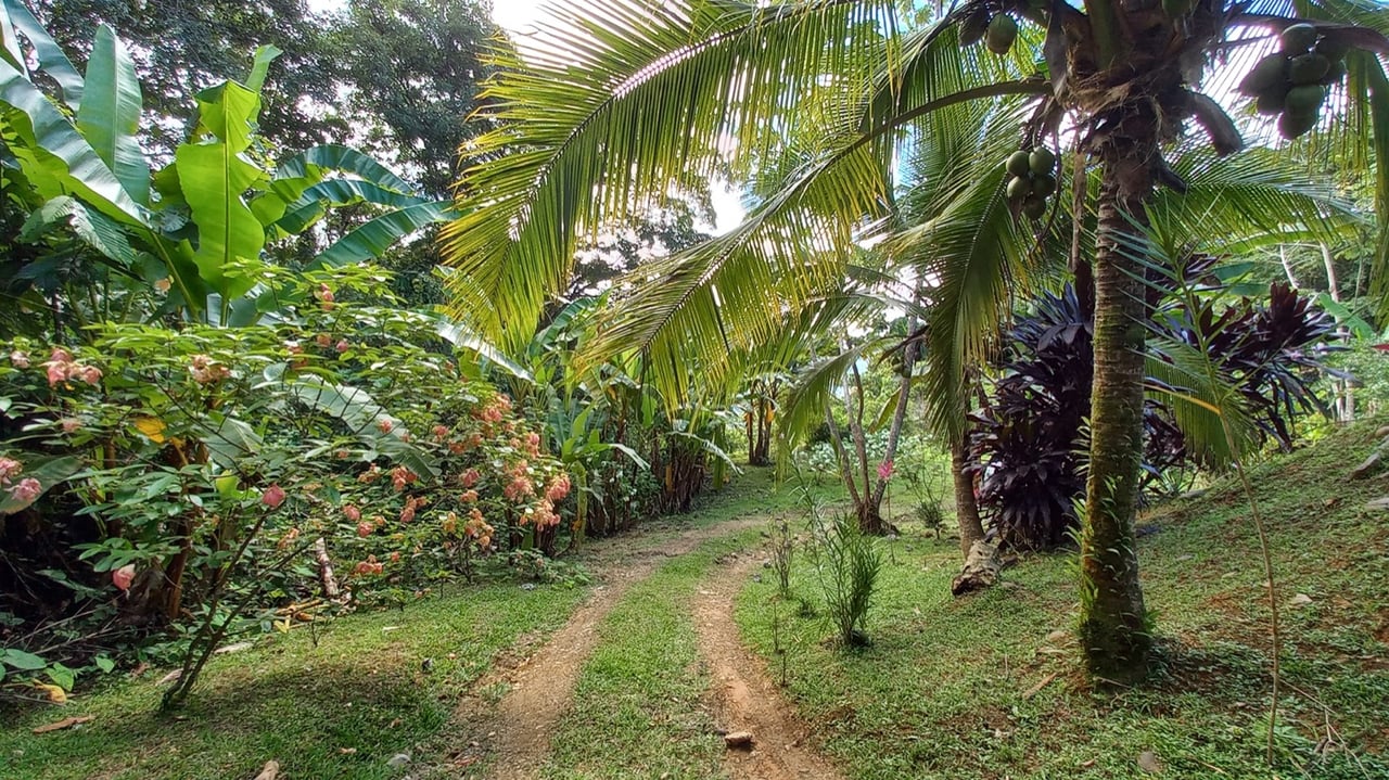 Charming Mountain Retreat with 2 Bedroom Home and Rustic Cabin