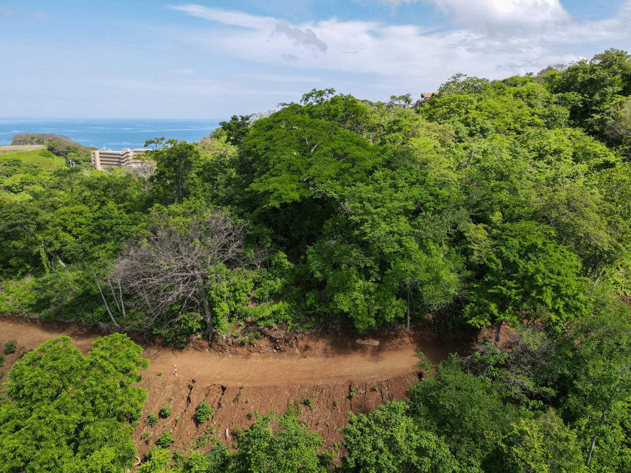 Paradise Ridge Retreat - Luxurious Oceanview Living - Senderos