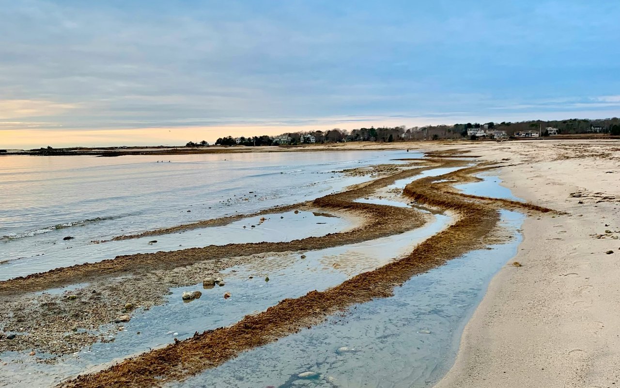 Barnstable
