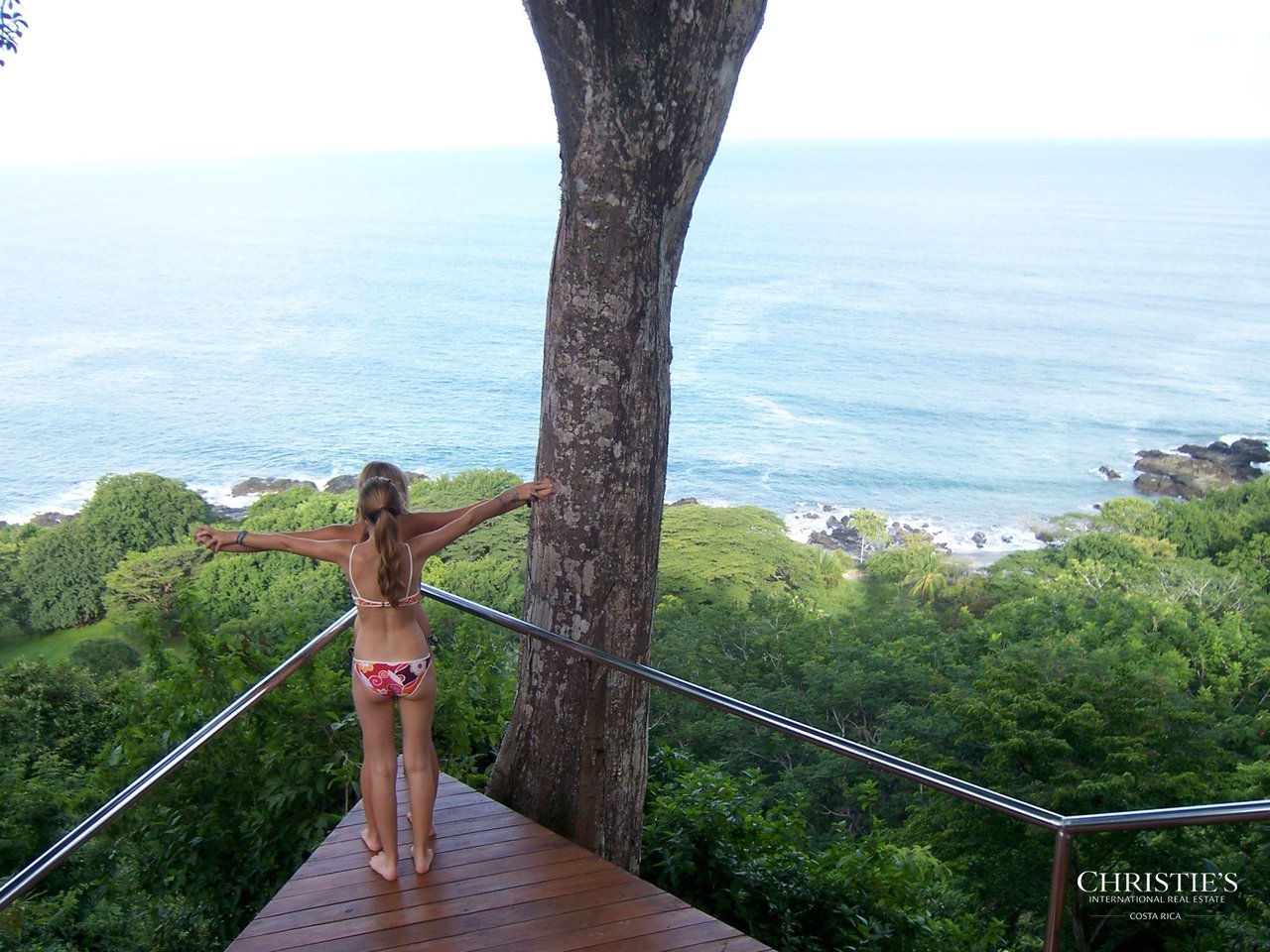 Jungle and Ocean Architectural Masterpiece