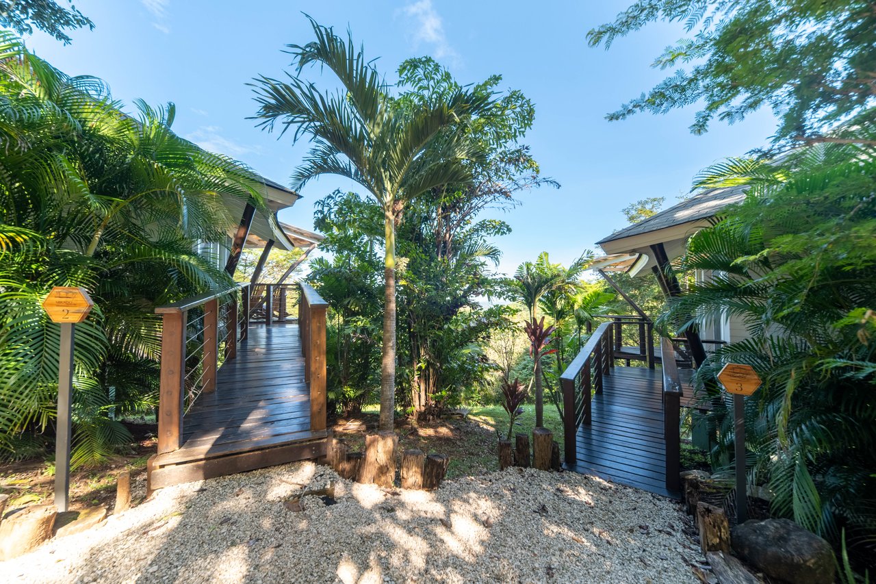 Mikado Natural Lodge | Turnkey Eco Lodge with Ocean Views & Expansion Potential in Guanacaste