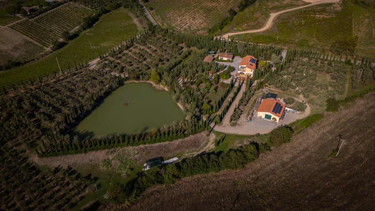 IL LEONE DEL FIORA