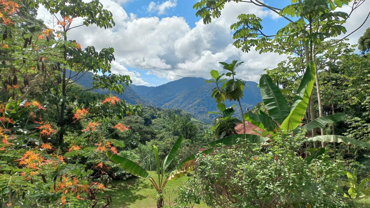 Charming Mountain Retreat with 2 Bedroom Home and Rustic Cabin