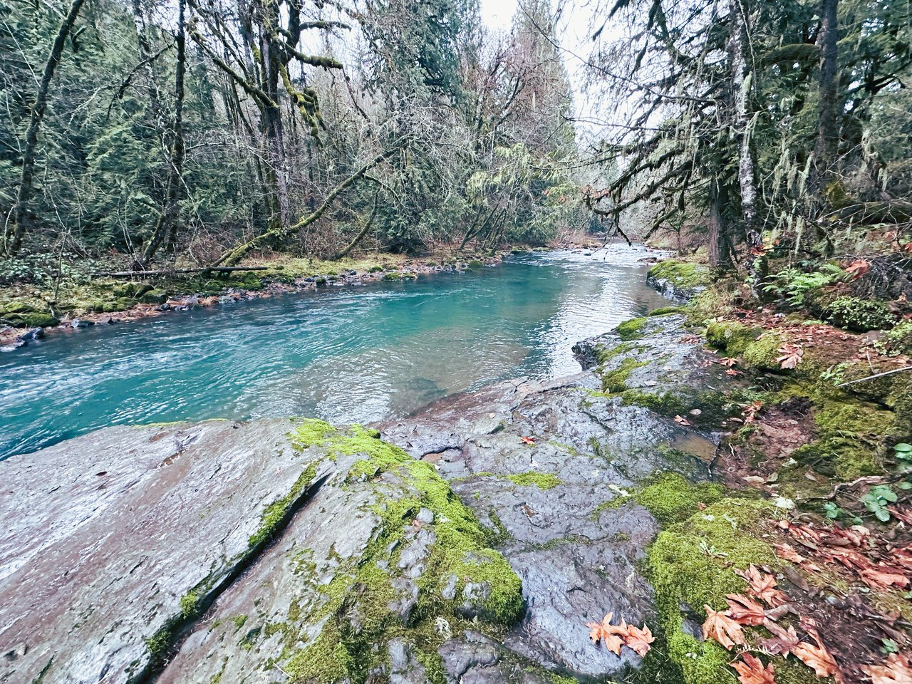 Mosby Creek Farm & Forest