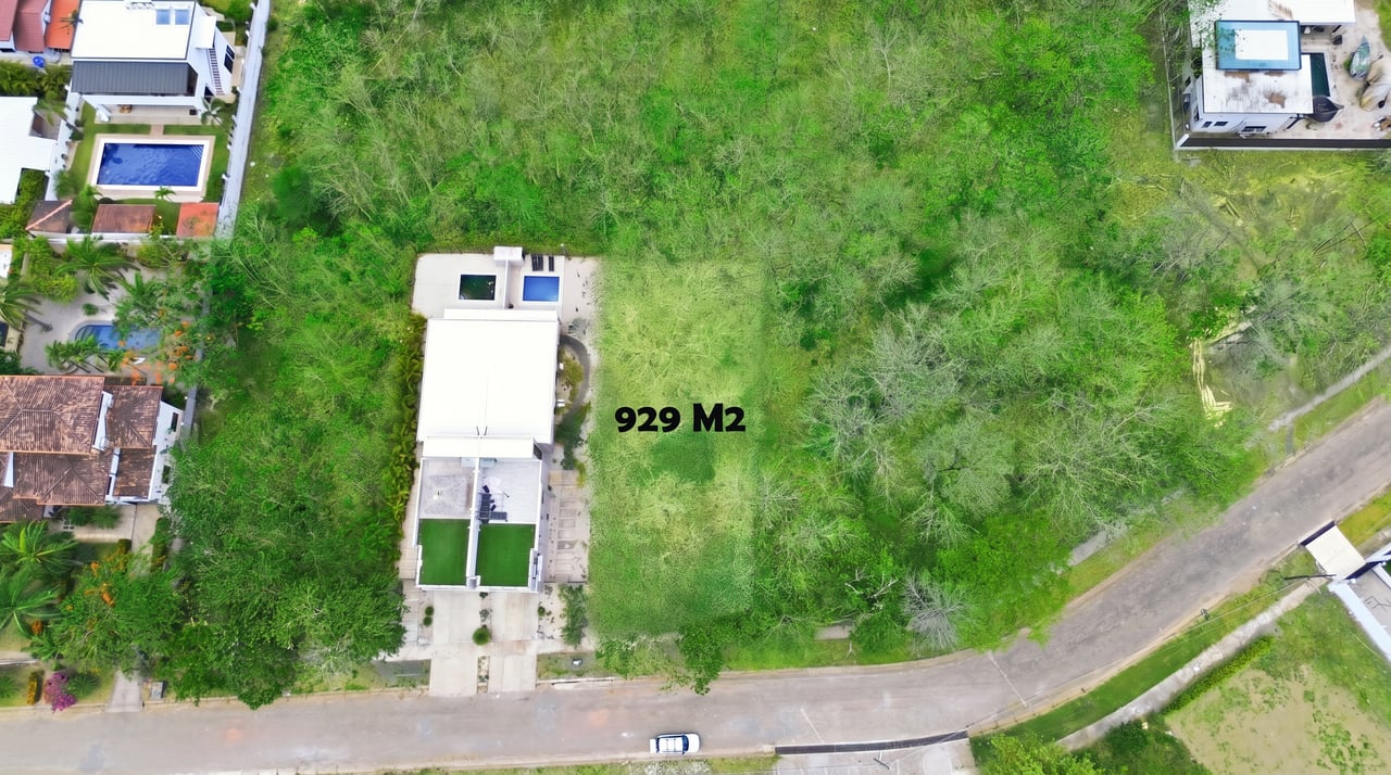 FLAMINGO BEACH LOT FOR SALE 