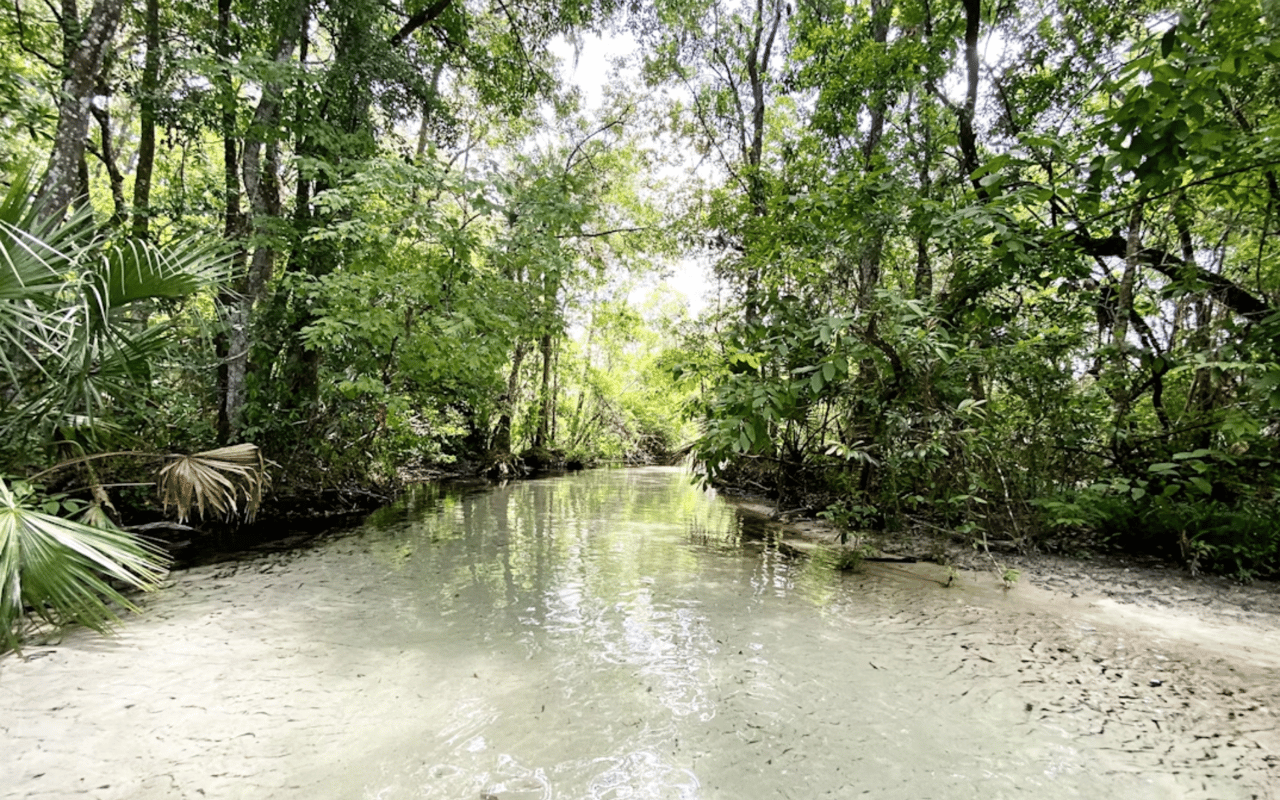 Hiking in Palm Beach County: Where Nature Meets Tranquility on Florida’s East Coast
