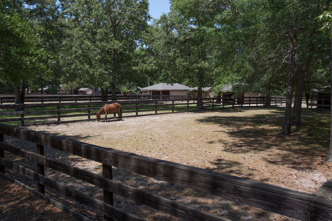 Equestrian Estate at 411 New Hope Church Road