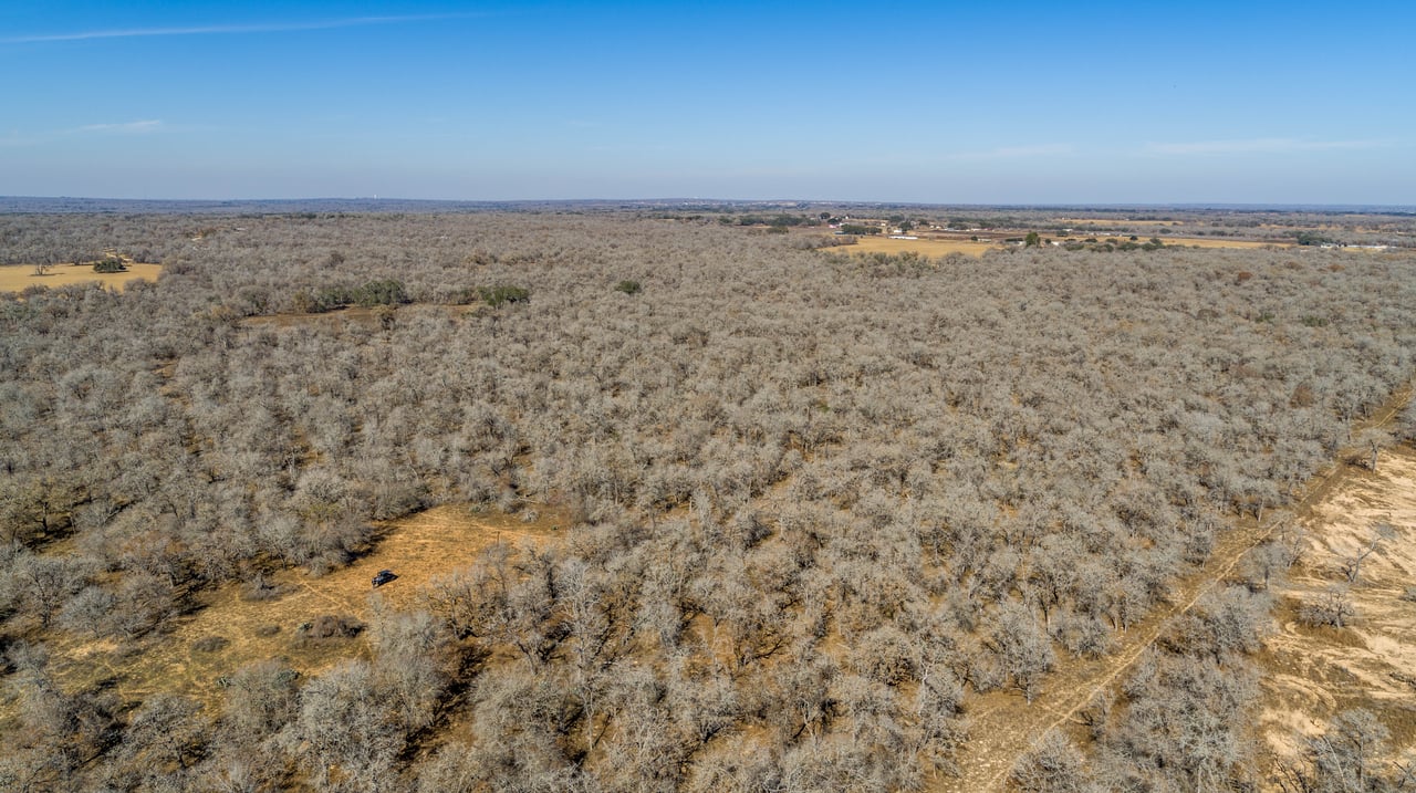 Whispering Pines Floresville Ranch | 298± Acres | Wilson County