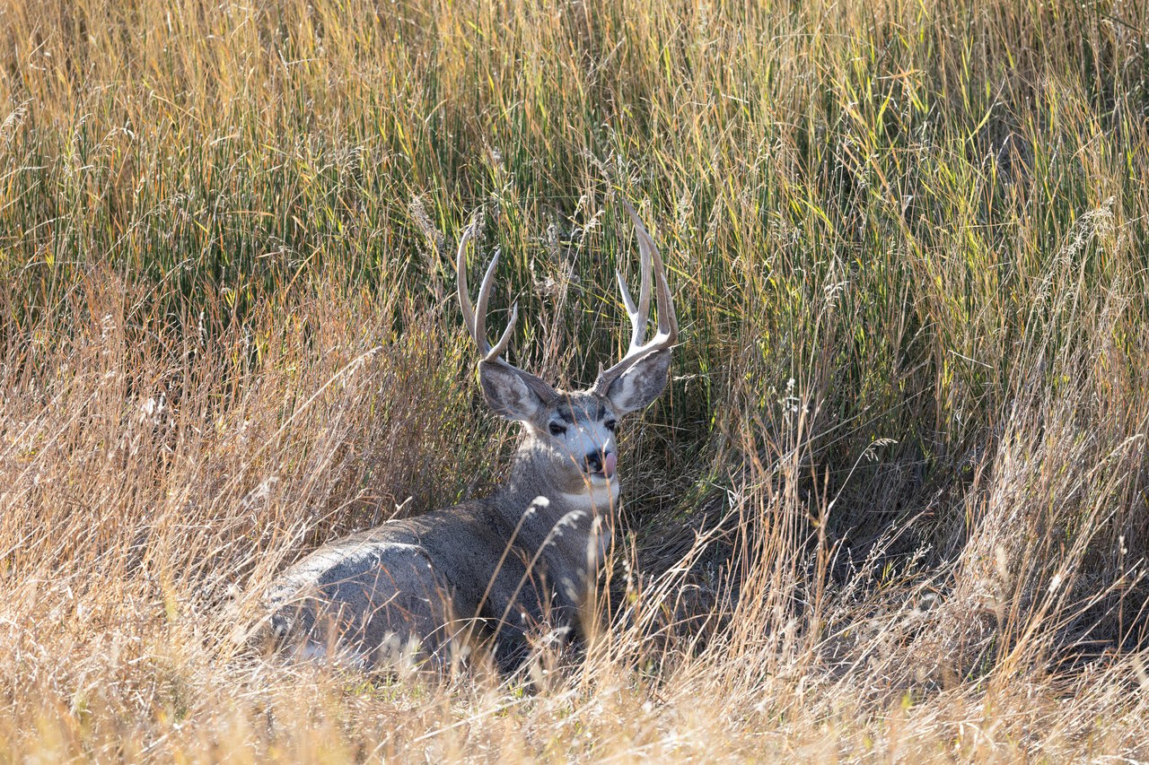 Salt Creek Ranch