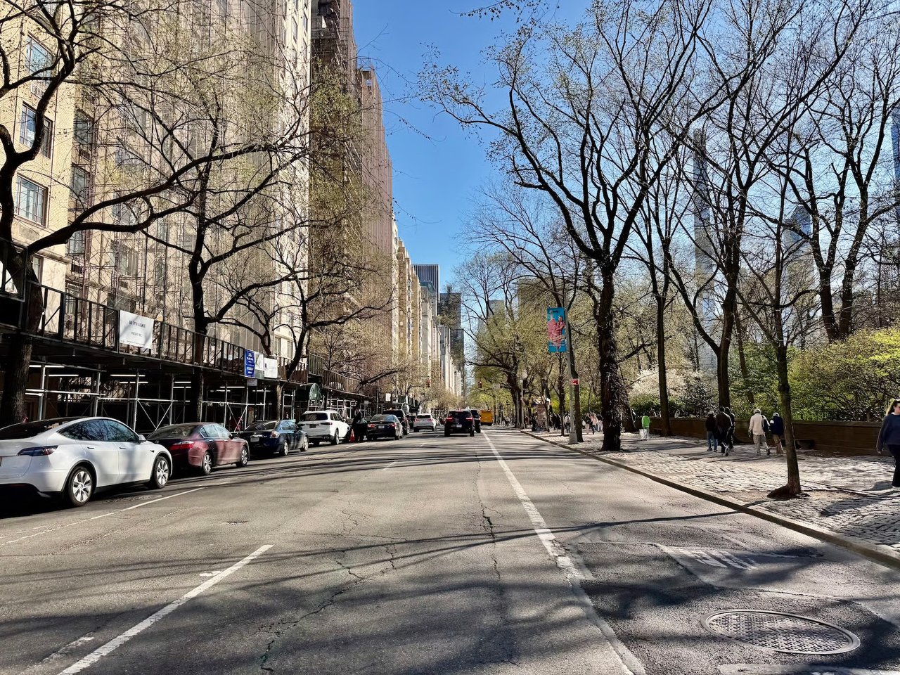 Tree-lined city avenue with parked cars, mid-rise buildings, and a park-like sidewalk.