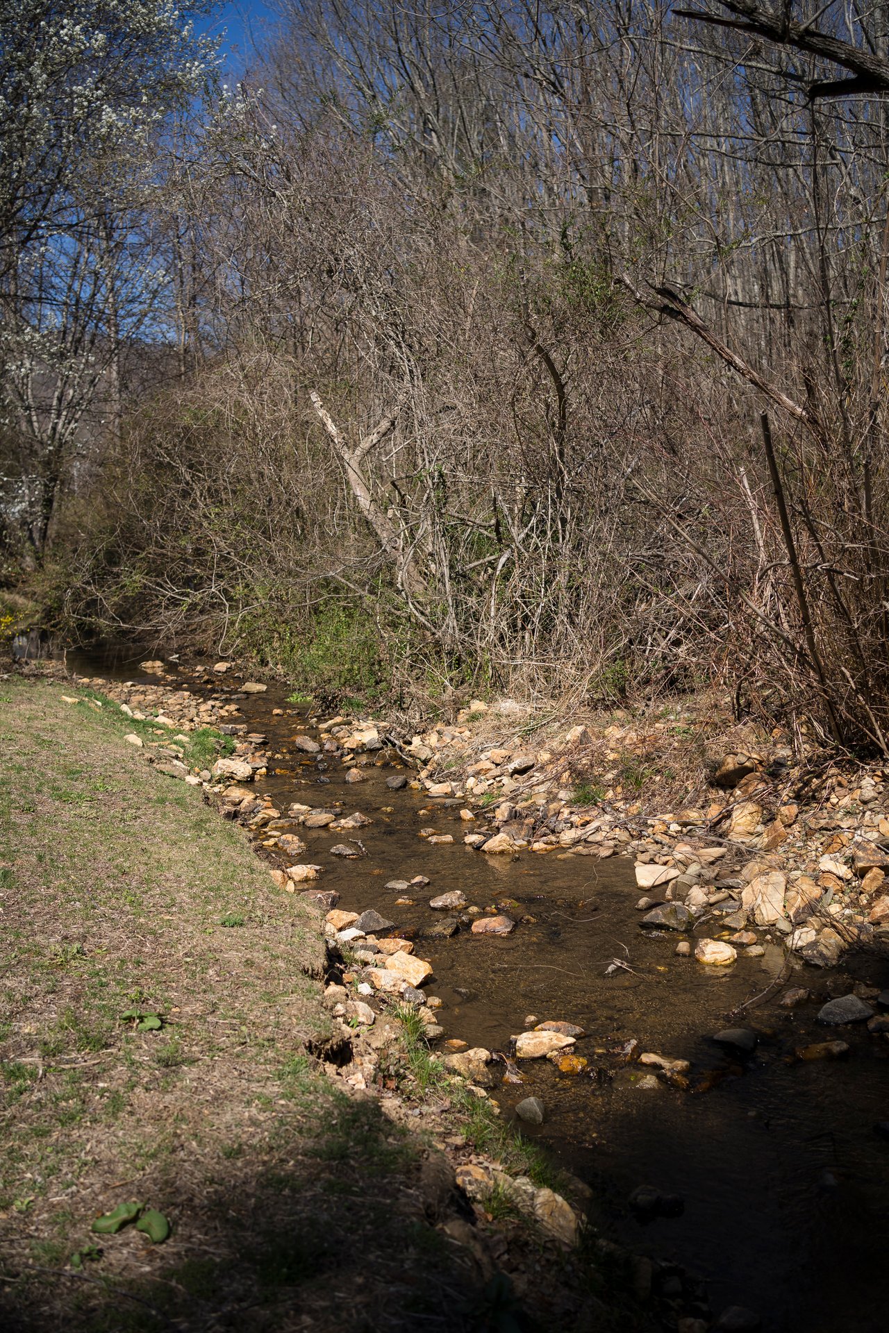 879 New Haw Creek Road