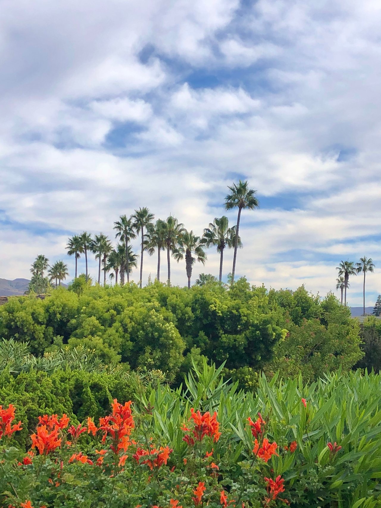 Ocean View Point Dume Club Home for Lease