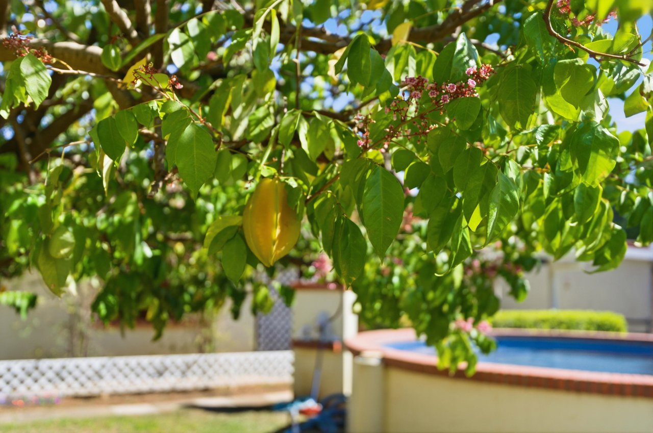 The Jewel of Sardinal | Income, Lifestyle, and Opportunity in One Exceptional Property